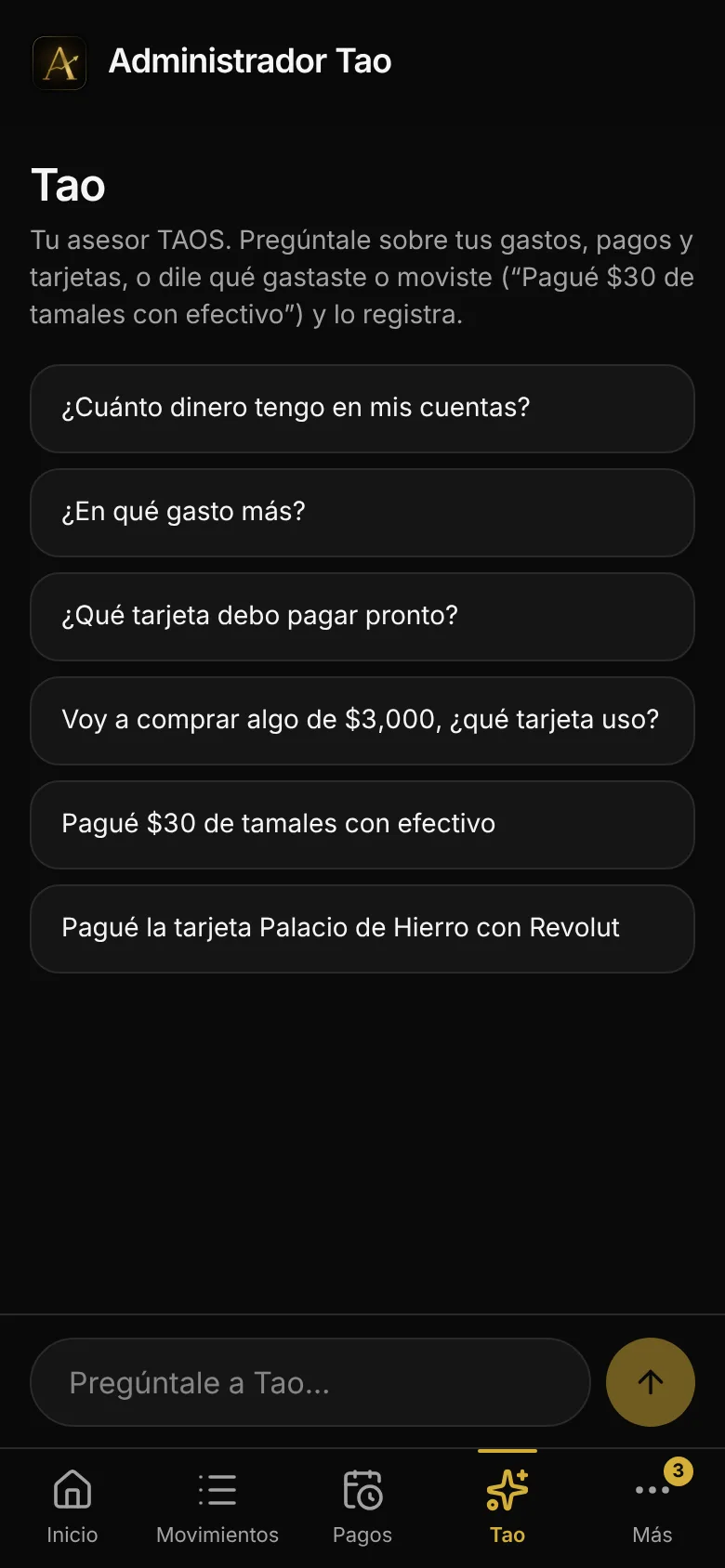 Chat con Tao, el asesor de Finanzas